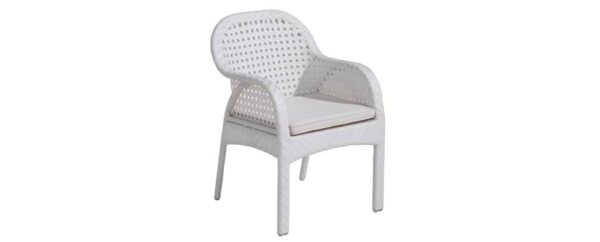 Brava arm chair