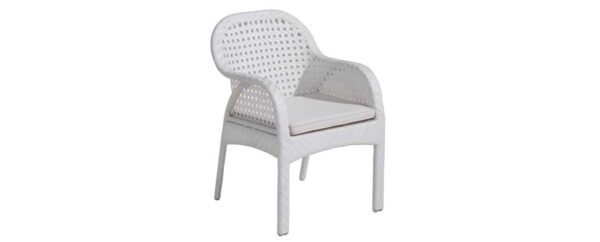 Brava arm chair web -