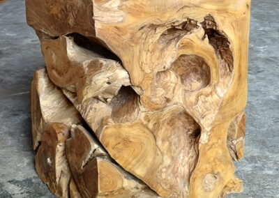 IMG 20250617 143159 -