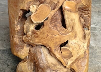 IMG 20250617 143249 -