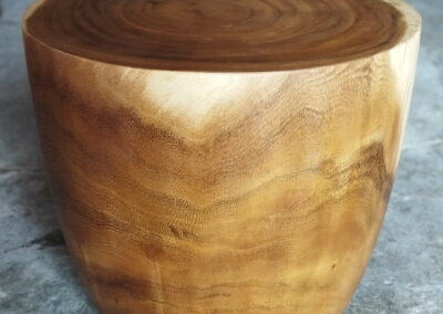 IMG 20250618 084112 -